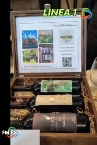 Vinos y aceite de oliva de Villa de Soto