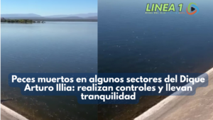 Dique Arturo Illia: realizan un relevamiento tras observar peces muertos en algunos sectores