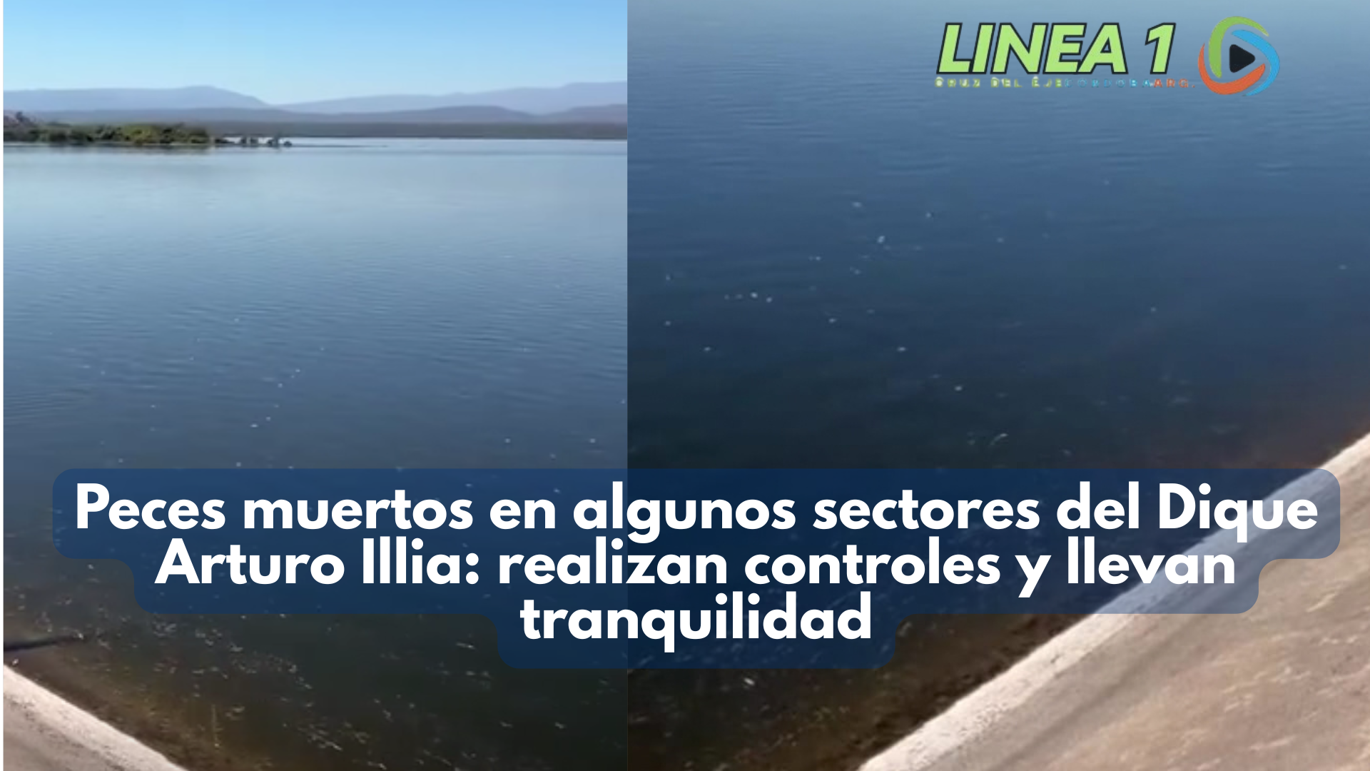 Dique Arturo Illia: realizan un relevamiento tras observar peces muertos en algunos sectores