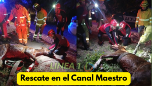 Rescate en el Canal Maestro