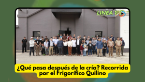 ¿Qué pasa después de la cría? Recorrida por el Frigorífico Quilino