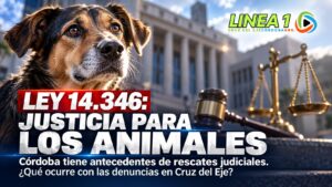 Ley 14.346 maltrato animal